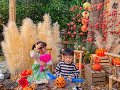 -HERRE·FARM 赫尔露营农场·团建聚会包场