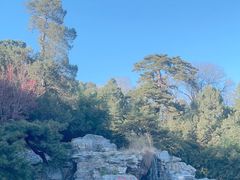 -香山公园