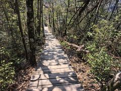 -修水东浒寨风景区