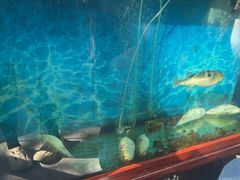 -肆月河豚·新淮扬(金融街店)