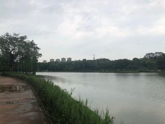 -东莞植物园