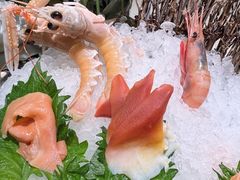 -大渔臻选·渔膳(沈阳万象城店)