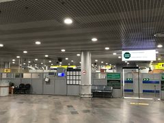 环境-谢列梅捷沃国际机场