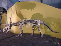 -湖南省地质博物馆