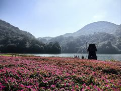 -广州市石门国家森林公园