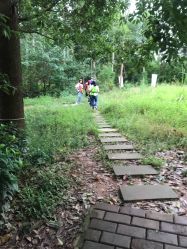 -成都飞越丛林探险乐园(锦绣城园区)