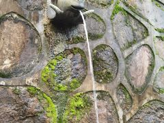 -杭州半山国家森林公园