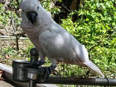 -七仙岭温泉国家森林公园