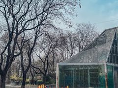 -北京动物园