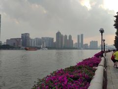 -珠江夜游广州塔·中大码头