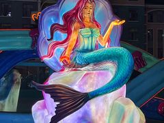 -海合安成都极地海洋公园