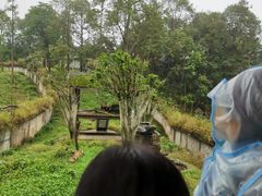 -中国大熊猫保护研究中心雅安碧峰峡基地