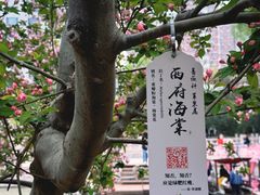 -元大都城垣遗址公园