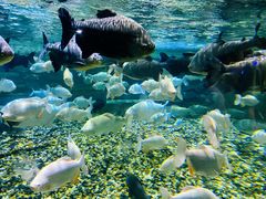 -成都浩海立方海洋公园