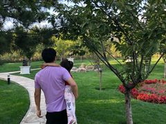 -静之湖湖畔餐厅