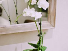 -BOCATA 西班牙餐厅(三里屯店)