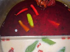 -湊湊火锅·茶憩(郑州绿地新都会店)