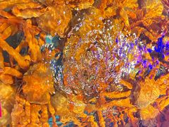 -驻海渔市(置信店)