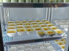 -禾斗海鲜自助(市南银座店)
