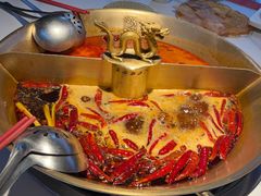 -小龙翻大江文化火锅(宽窄店)