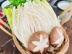 -同仁四季椰子鸡(罗湖国贸店)