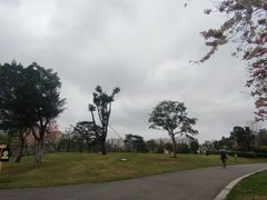 -白石龙音乐公园