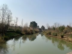 -白鹭湾湿地公园