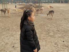 -北京麋鹿生态实验中心
