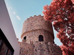 -J Create城市露营咖啡·简餐·宠物(上海动物园店)