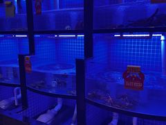 -七欣天香辣蟹火锅(闵行浦江欢乐颂店)