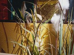 -嘉禾·悦享餐厅(八方汇店)