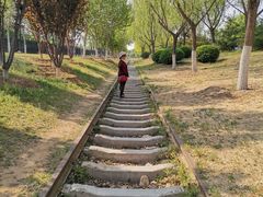 -永定河休闲森林公园