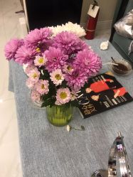 -静博士·养生养颜