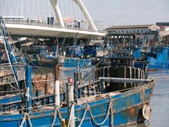 -海峡水产品交易中心(海鲜交易区)