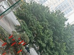 -广州希尔顿逸林酒店-OPEN開·全日制餐厅·海鲜·小火锅·自助餐(东风路店)
