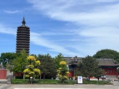 -西海子公园
