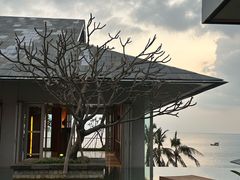 -日落吧·海景咖啡厅·餐酒吧·鸡尾酒·下午茶·乐队表演·浪漫夕阳·三亚文华东方酒店