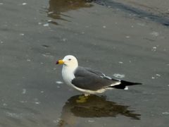 -星海广场