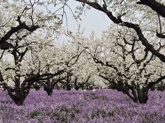 -江苏三台山国家森林公园