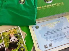 -都江堰中华大熊猫苑