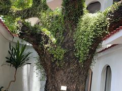 -澳门圣地牙哥古堡酒店