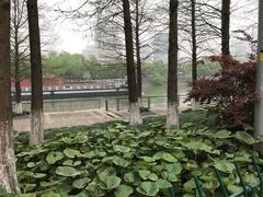 -运河游船(武林门码头)