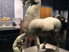 -广西壮族自治区博物馆