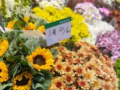 -双季花艺园艺市场(浦东店)