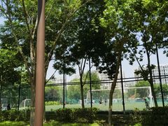 -回龙观体育文化公园