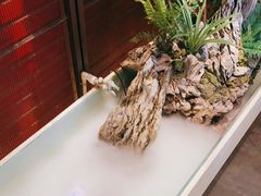 -牛村来人潮汕牛肉火锅(西单店)