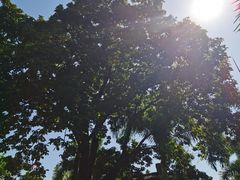 -荔湾区儿童公园