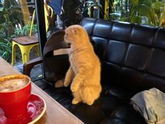 -咖法森林·咖啡  酒吧(天河店)