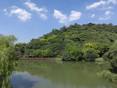 -绍兴镜湖国家城市湿地公园