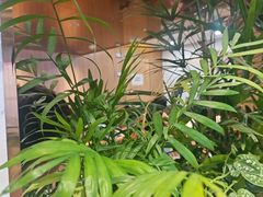 -霸王茶姬(正佳广场店)